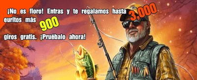 Viva Spin Casino Experience